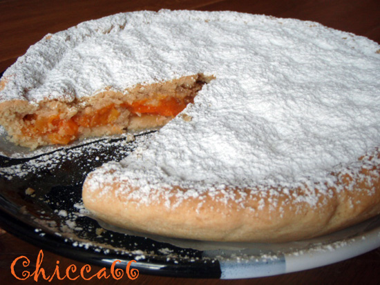 torta alle albicocche stampa 12