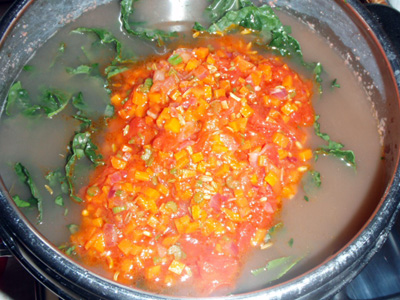 ribollita