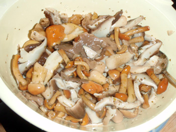 mix di funghi