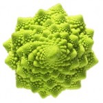 broccolo_romanesco