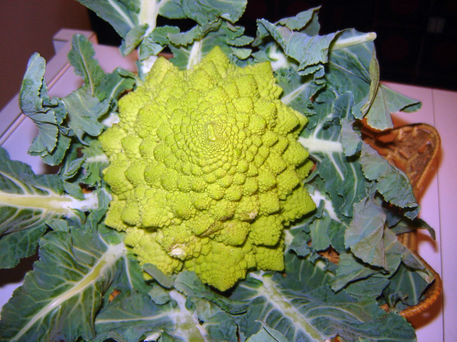 cavolfiore crudo