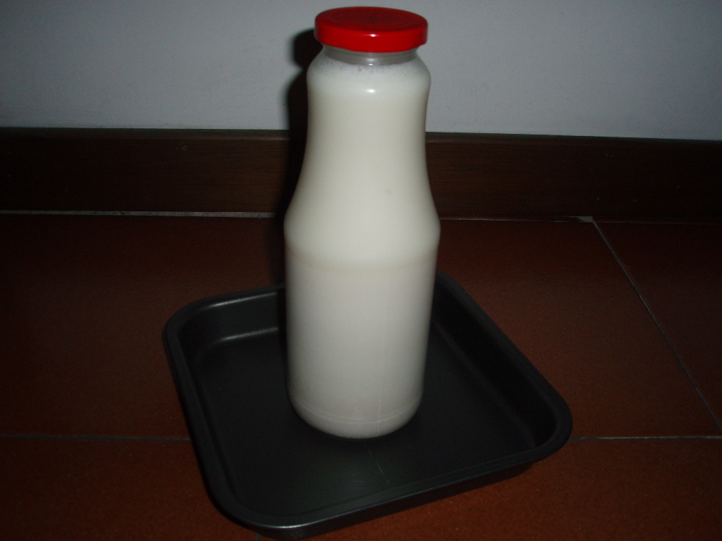 Milk Maker, come farsi il latte vegetale in casa